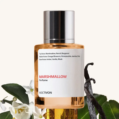 Noctivon Saffron Vanilla Marshmallow Perfume – Unisex Eau de Parfum 50ml
